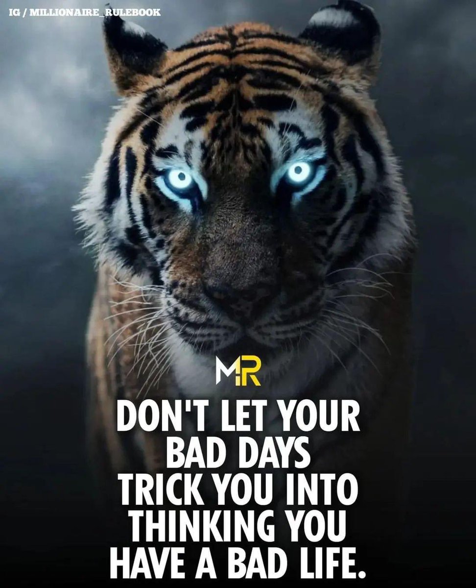 coachrodharris's tweet photo. The most powerful institution on earth is family. I live,breath, defend, and support every Tiger family member. #Igoturback @MartinCoSports @CountyTigers_fb @ESPNTop63 @larryblustein @Dwight_XOS @ESPNWestPalm @TCPalm @_HSRavens @ESPNWestPalm @MC_Panthers_ https://t.co/RLPlg69yhw