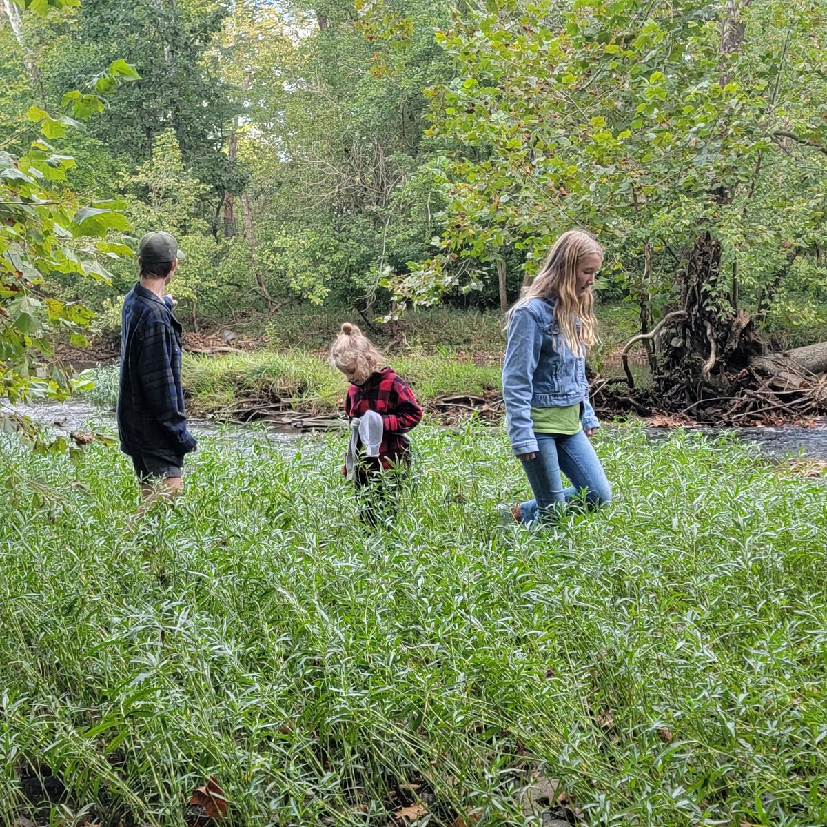 SashaRose777's tweet photo. When you think you're hiking the 1/2 mile trail but accidently do a solid 4 mile loop. A beautiful adventure! #trails #cincinnatihikes https://t.co/G9mqEV83Ag