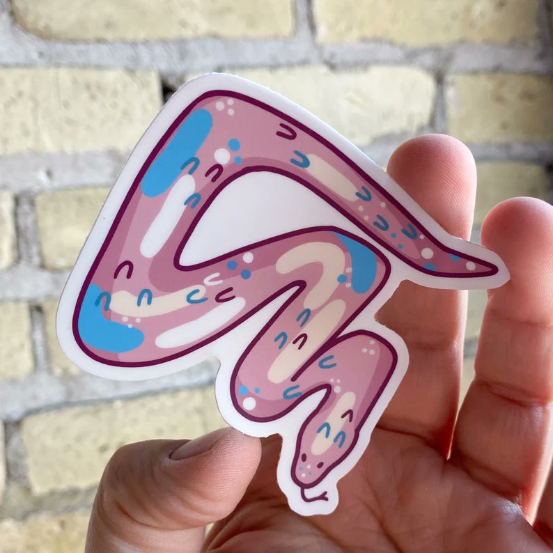 disgaydesigns's tweet photo. #transgender #snake!!! transgender snake!!!! transgender snake!!! thank you for coming to my tedtalk #queerownedbusiness #gaystickers #subtlepride #queerowned https://t.co/4zLdiDHALk
