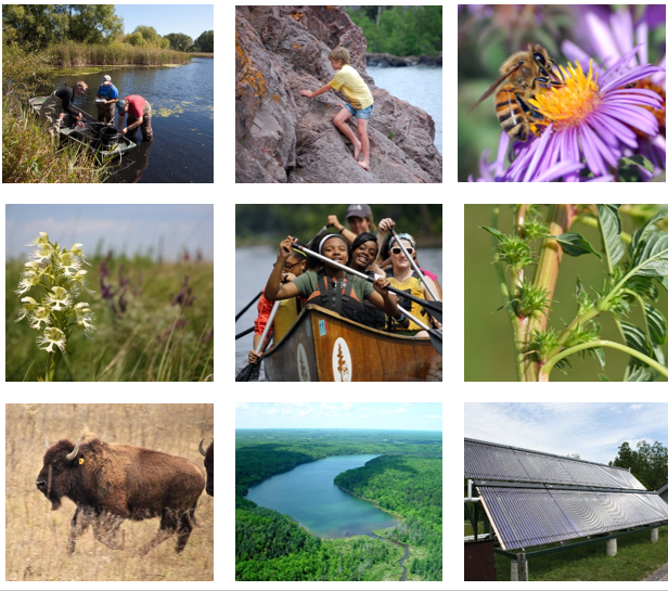 Love Minnesota’s environment and natural resources? Want to tell stories about how we work to protect them? Apply to be a Project Analyst and Communications Specialist at the LCCMR!
Applications due Oct. 14 by 4:30pm.  
Job posting here:  lcc.mn.gov/jobs/