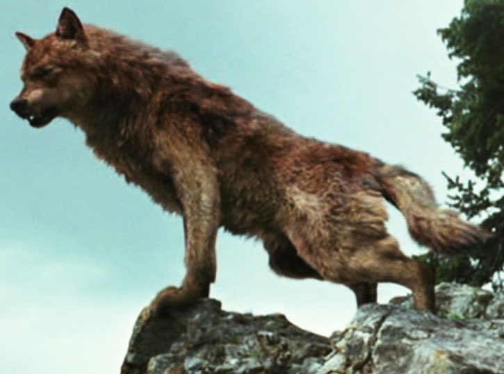 sᴏᴍᴇᴛʜɪɴɢ sᴍᴇʟʟs..... ᴅɪғғᴇʀᴇɴᴛ