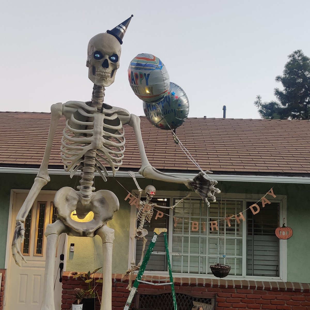oysnapitsmay's tweet photo. @HomeDepot Virgo sp👀ky szn https://t.co/2UkYMgNjvI