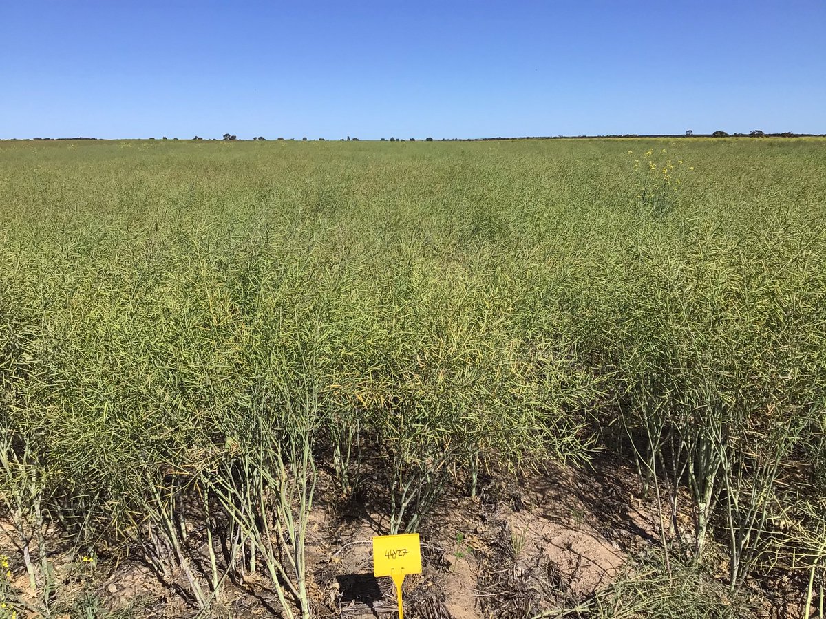 Nigel Routledge tweet media