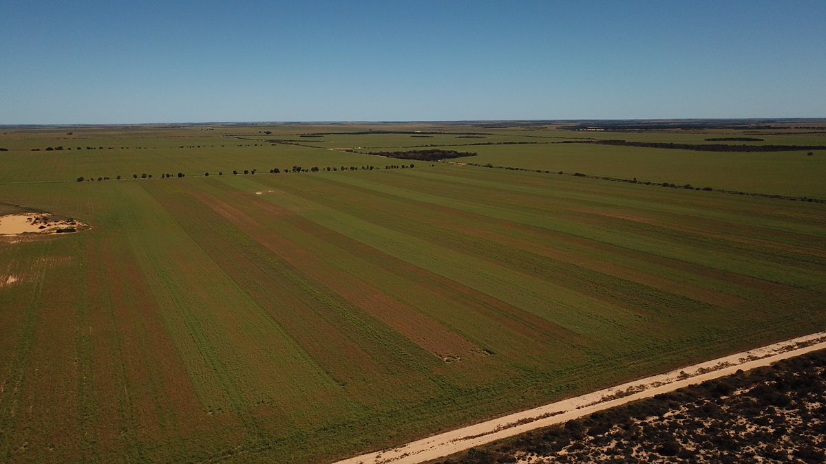 Nigel Routledge tweet media