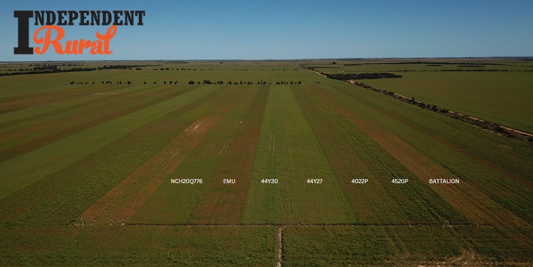 Nigel Routledge tweet media