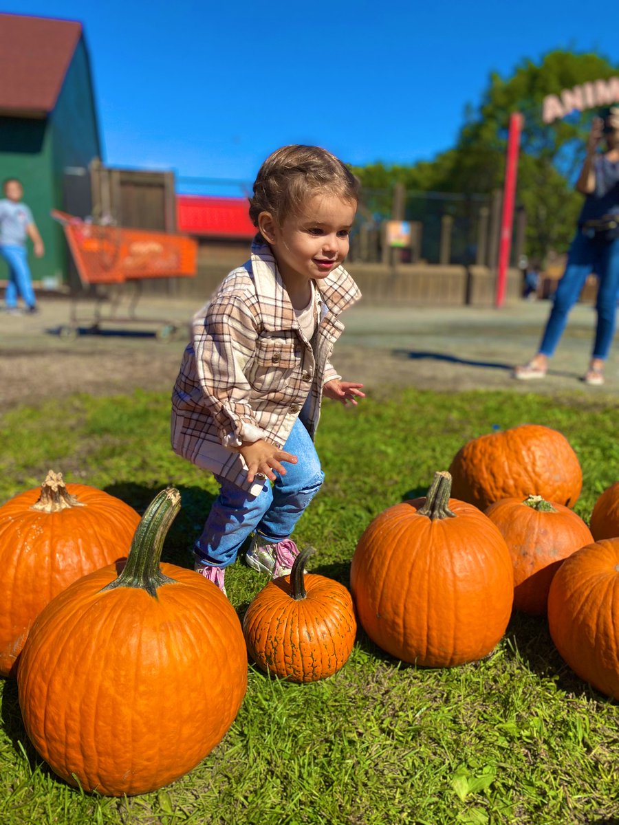 is it even fall if you don’t dress your kid in a shacket and go pumpkin picking?