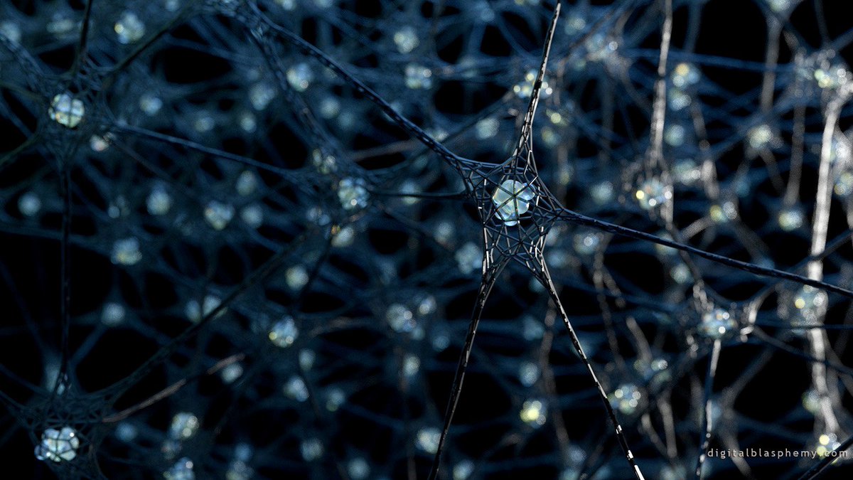 Ryan Bliss (𝐷𝑖𝑔𝑖𝑡𝑎𝑙 𝐵𝑙𝑎𝑠𝑝ℎ𝑒𝑚𝑦) tweet media