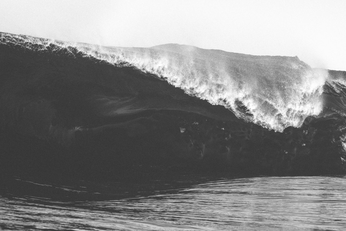 Good morning from some salt water. Hope you have a wonderful day 🌊✌️