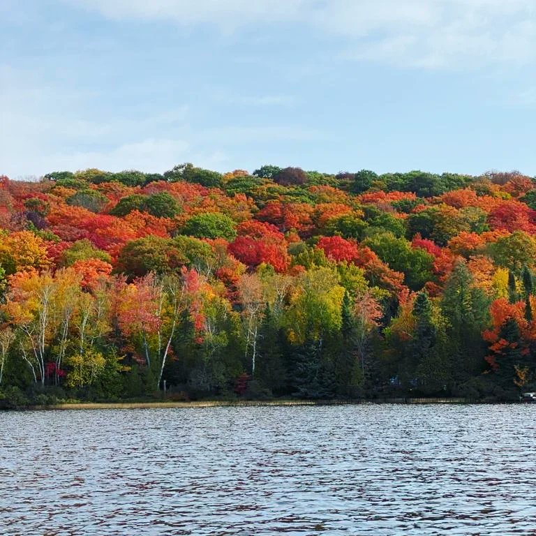 CanuckGrandview's tweet photo. We have some October dates still available @CanuckGrandview to come view the Muskoka fall colours! π
thecanuckatgrandview@gmail.com
#DreamExploreCreate
#muskoka #muskokalife #golfcourse #fall #views #dockside #executiveloft #travelbloggerlife #fallcolours #golf https://t.co/XiNzugyfj7