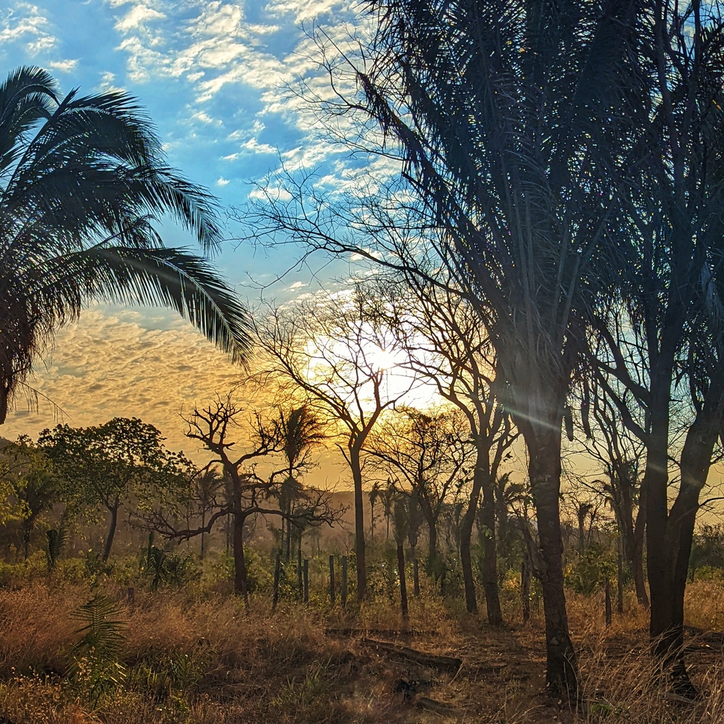 SnowAndCurt's tweet photo. The Pantanal is stunning and has left a mark on us forever! But, it is time to drive out of here... for now anyway! We will see you over on YouTube first thing in the morning! CHEERS

#vanlife #snowandcurt #fulltimetravel https://t.co/fNfAI7aVGX