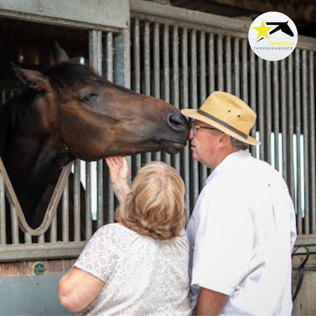 Racing_Clubs's tweet photo. Cosmo kisses are the best…💋

𝘾𝙖𝙥𝙩𝙖𝙞𝙣 𝘾𝙤𝙨𝙢𝙤 was clearly in charge of public relations during our annual open day! 

#CaptainCosmo @PeelBloodstock https://t.co/TaoNHmnGxm