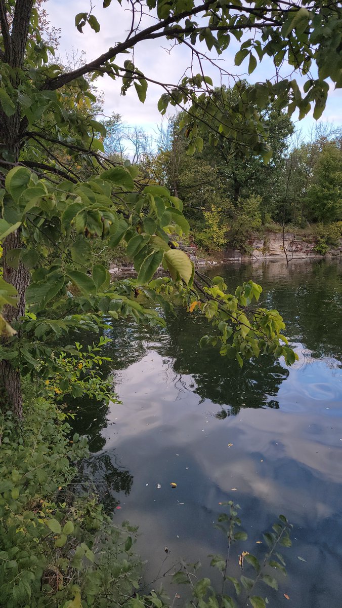 theeverydayexp's tweet photo. Fall color check: where are you located and how are the colors? Hiked here in Wisconsin yesterday with just the faintest hint of gold. About 10% color here. 🍁 https://t.co/okCEo5GTZW