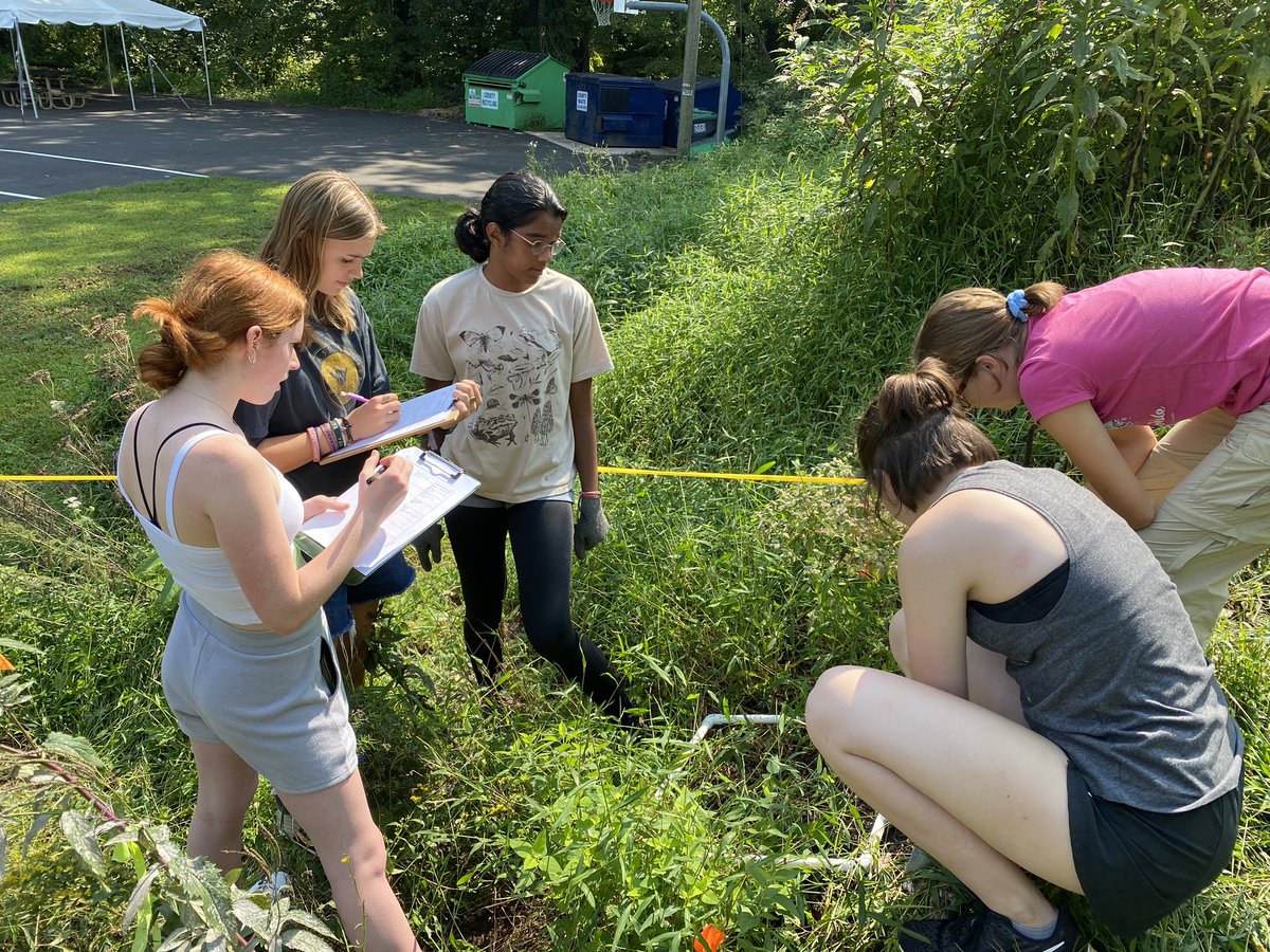 ms_hostetter's tweet photo. IB Bio students spent time in the Pollinator Garden determine the distribution of biotic and abiotic factors impacted native plants using Transect Sampling! 🌸 🐝  @K12AlbemarleLab https://t.co/5QkzXaJsvT