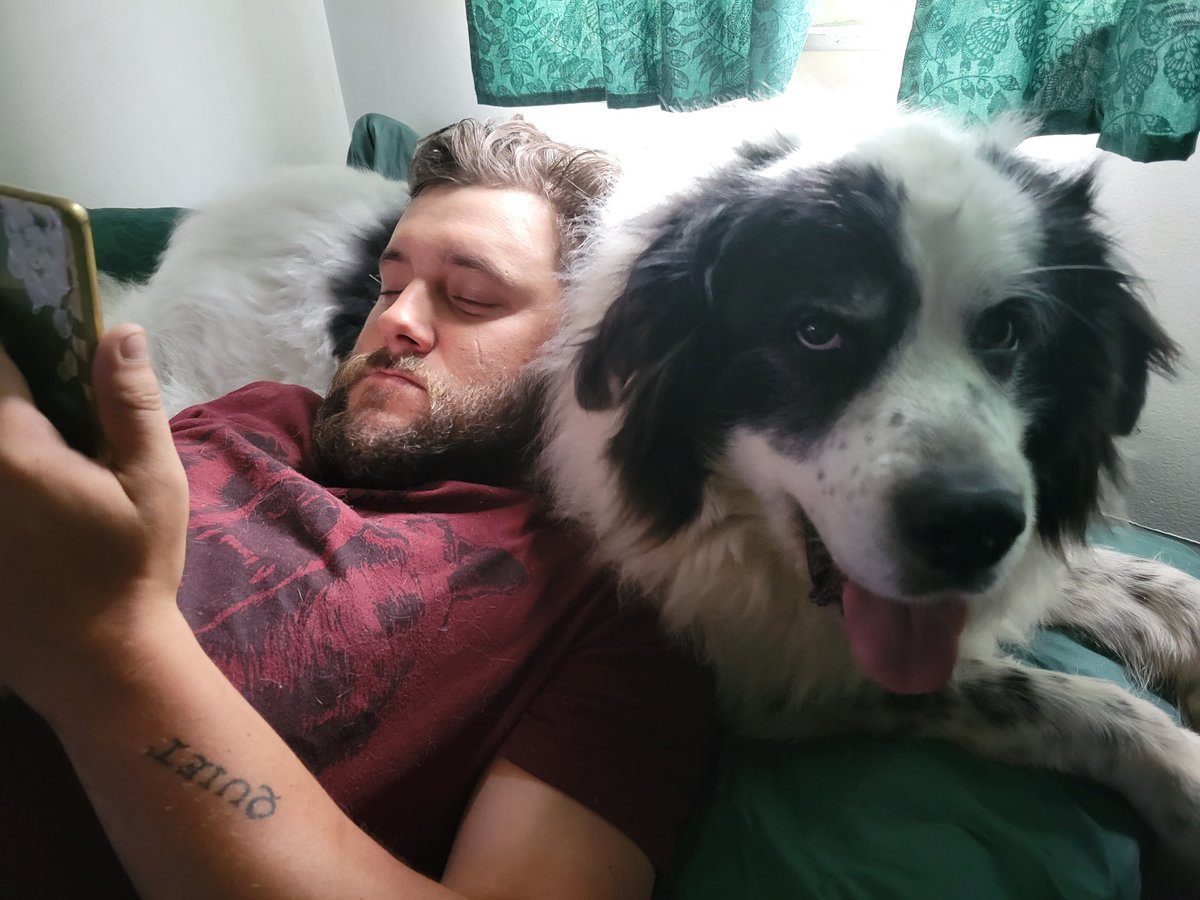 apartytoaccess's tweet photo. Rachel Voss: How do we become friends with @HeyBethMay?
@Miss_Moonshadow: idk. We need a plan.
RV: I have it! We introduce her to my giant fluffy dog, Bellenor Rosa Voss. Flawless plan.
#bethmay #daddies #dnd #DungeonsandDaddies #dnd5e #ttrpg #podcast https://t.co/VcT80MpNwZ