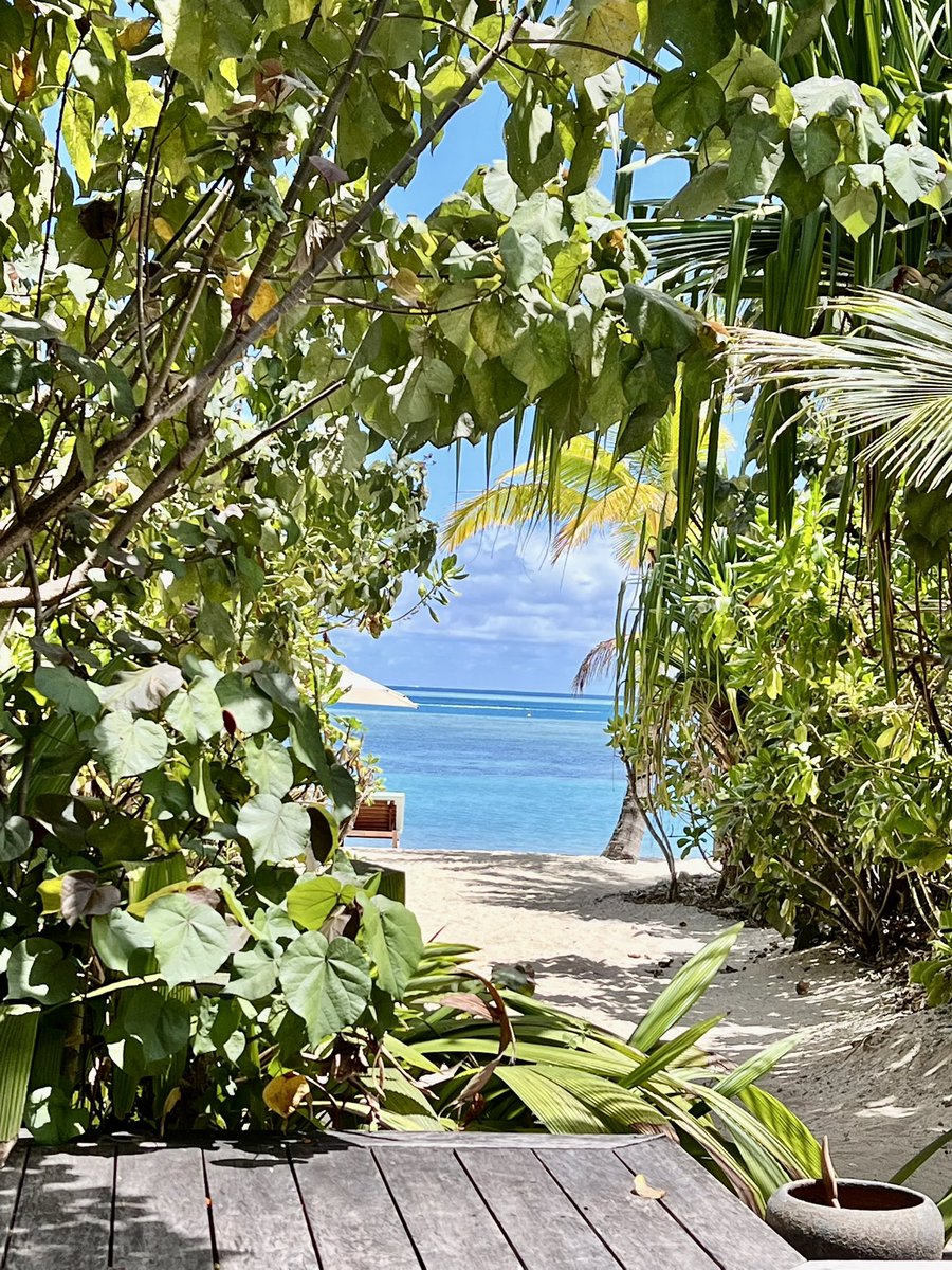 marci_mango's tweet photo. Six Senses Fiji really showing off this week.  Service still doesn’t compare to Mexico or Costa Rica properties but the water is gorgeous and food has been memorable! https://t.co/NzSf5VDKOc
