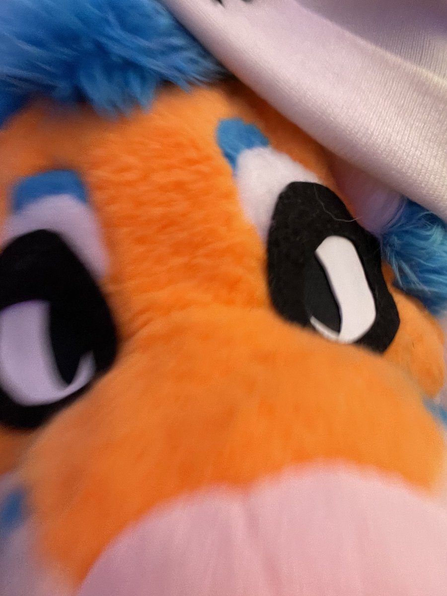 TangoTheFox's tweet photo. i smell a someone fruity, which of yall is it? #furry #furryfandom #fursuit https://t.co/Ug9as6SlRr