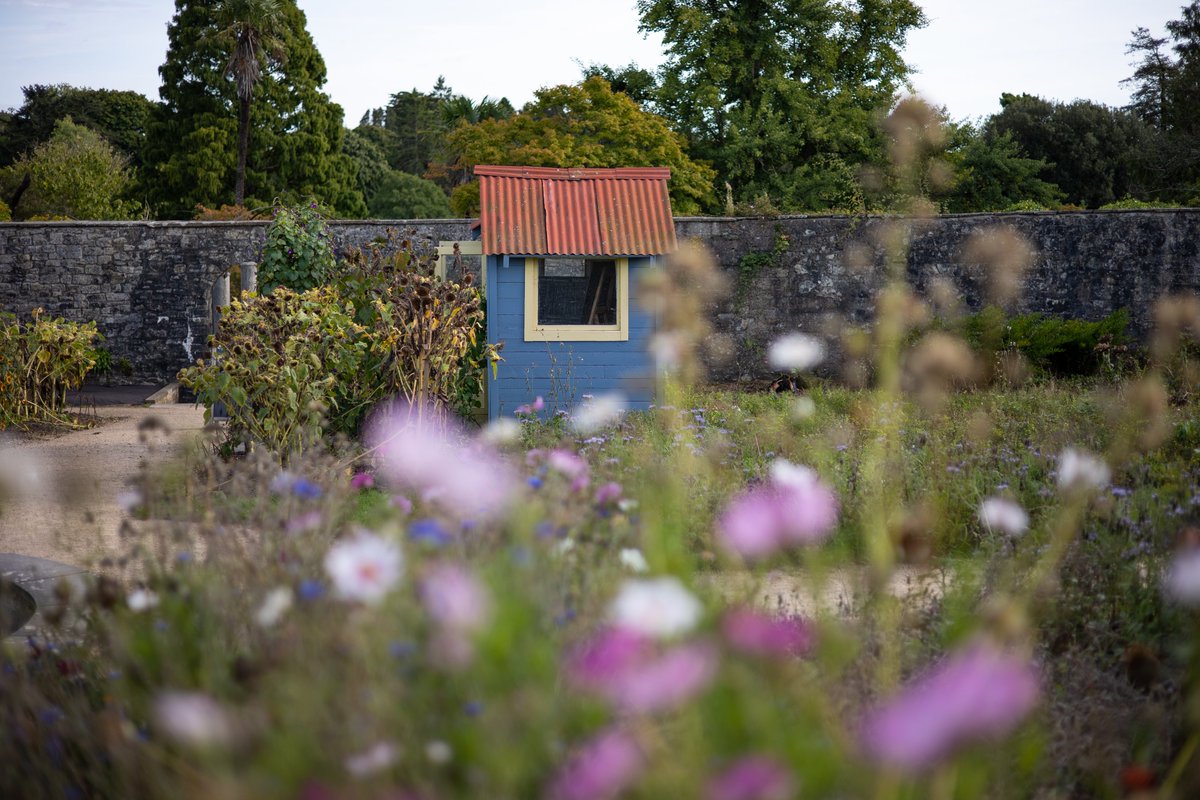 HallPhotographic tweet media