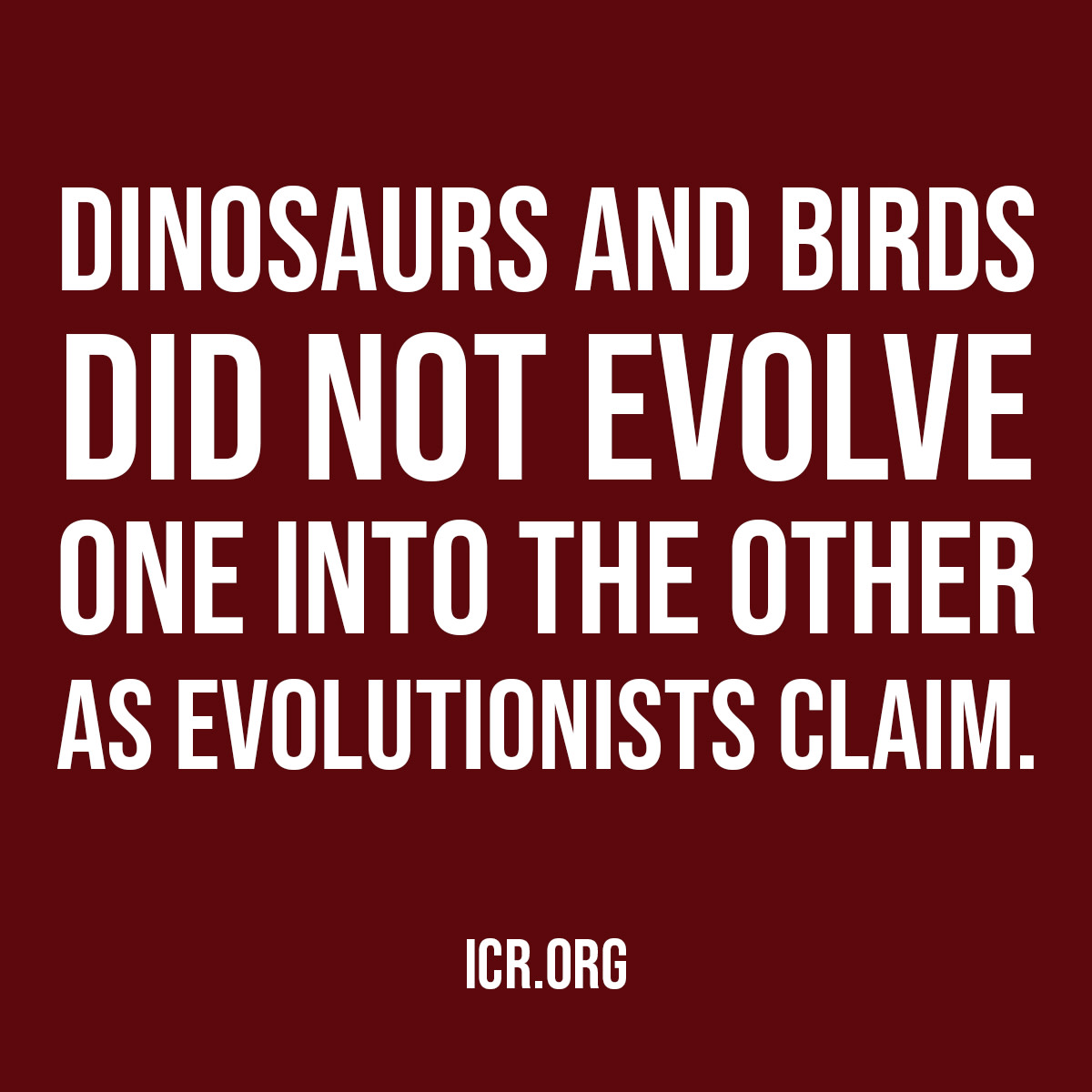🦖 Dinosaurs and birds did not evolve one into the other as evolutionists claim. #QuoteOfTheDay #Dinosaurs