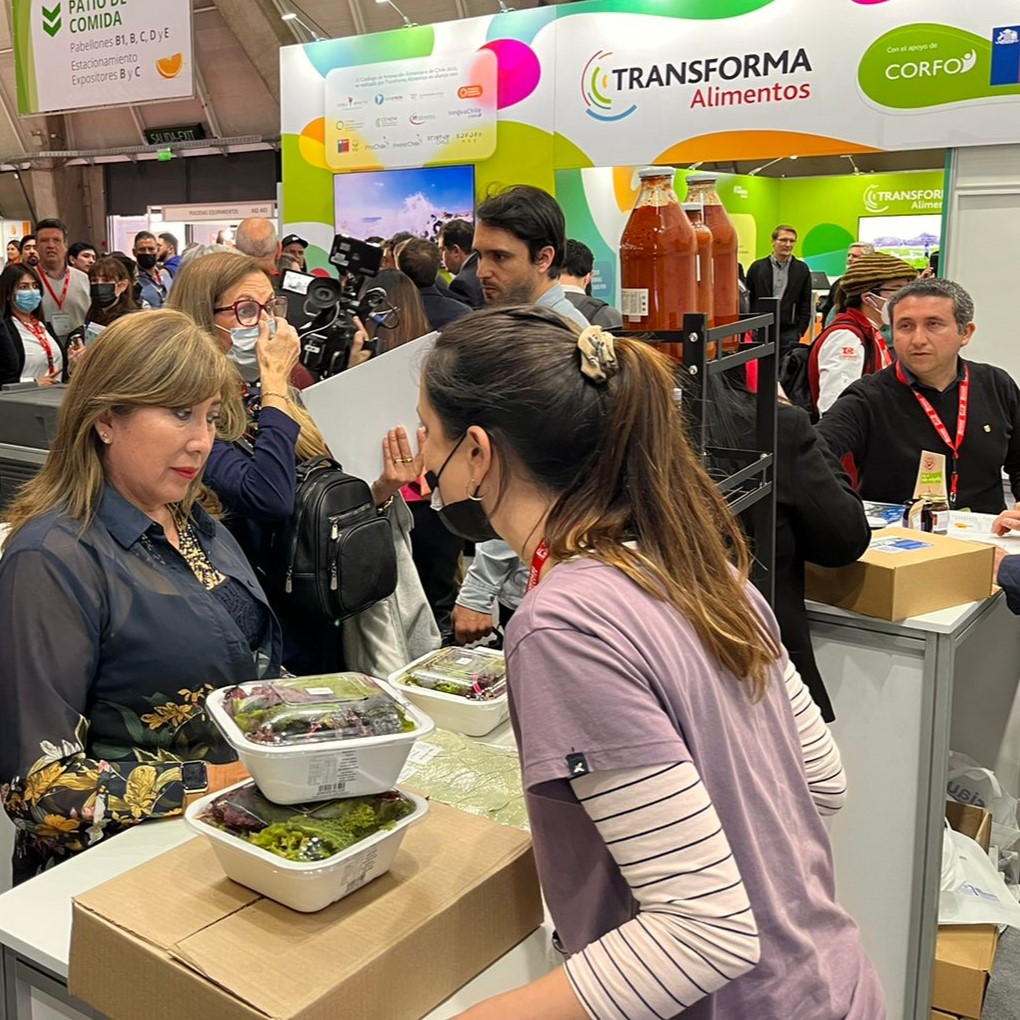 IncubatecUFRO's tweet photo. [FOTOGRAFÍAS]

Les dejamos fotos del primer día de @eFoodService con la participación de los emprendimientos #HemisferioSustentable y #Rockwines en el stand de @IncubatecUFRO durante esta primera jornada.

Mañana estará #BhalfernGingerBeer y #Humnatt.

Apóyalos en @EspacioRiesco. https://t.co/MLQqIONbjC