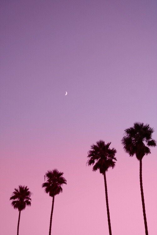 No Mo-Stache tweet media