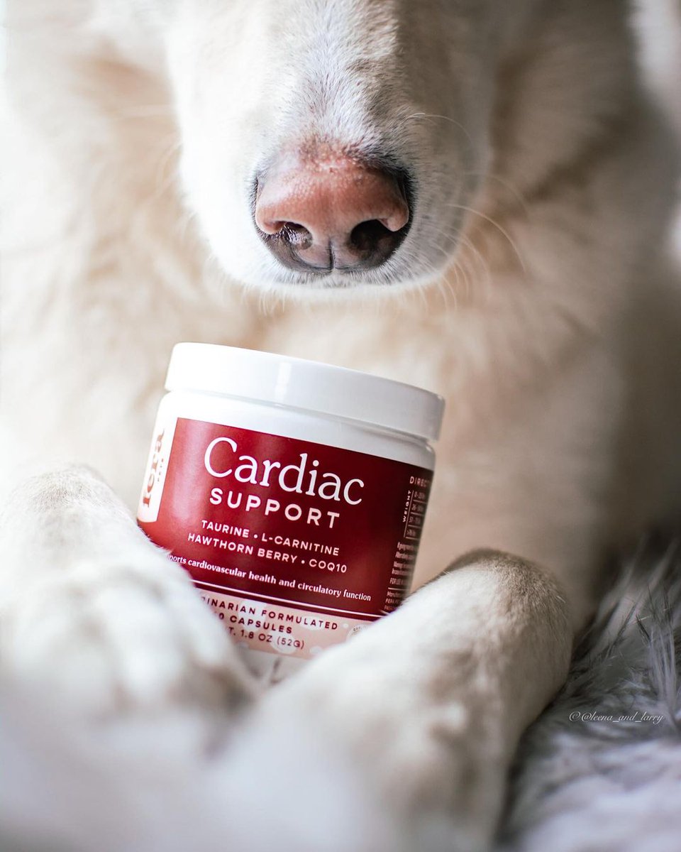 Our fluffy pets make our hearts happy and in return we need to take care of their hearts and Fera Cardiac Support is the perfect partner for our pets' heart health and function! 

Give Fera Cardiac Support a try today and see how it can benefit your pet!

#petwellness