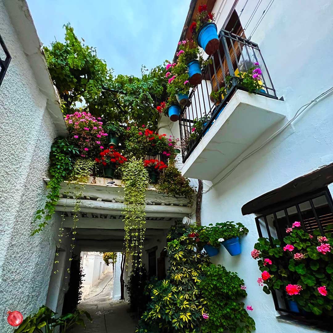granadapictures's tweet photo. En este caso, nosotros visitamos un pueblo llamado “Capileira”, que se encuentra dentro del ranking de pueblos más bonitos de España. 😍

Y las increíbles vistas que nos regaló, lo confirman. ✨ 

Además, se encuentra entre los pueblos más altos del país. 🔝 https://t.co/WyAHscSQgM