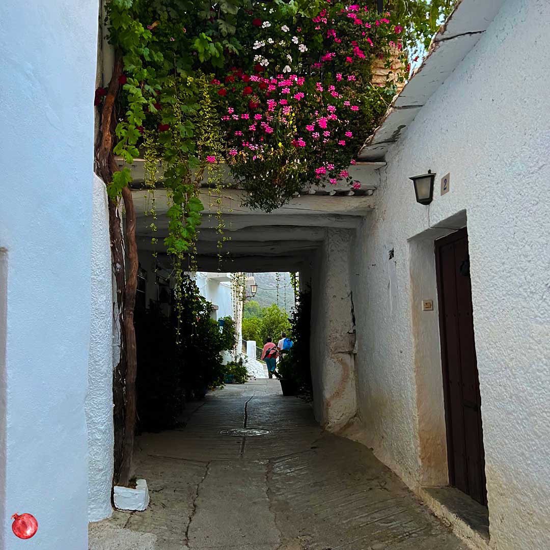 granadapictures's tweet photo. Así que si quieres relajarte y dejar a un lado la estresante rutina, ven a conocer Capileira o cualquiera de los pueblos de la Alpujarra de Granada. 

¡No te arrepentirás! ✅ https://t.co/4pRXvUSOp1