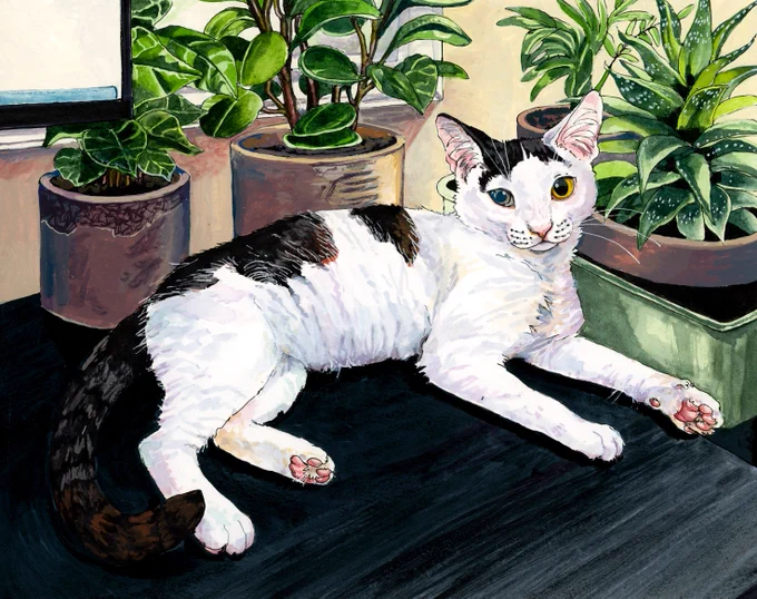 completed 8x10 pet portrait!! feels so lovely to be working on these again! 