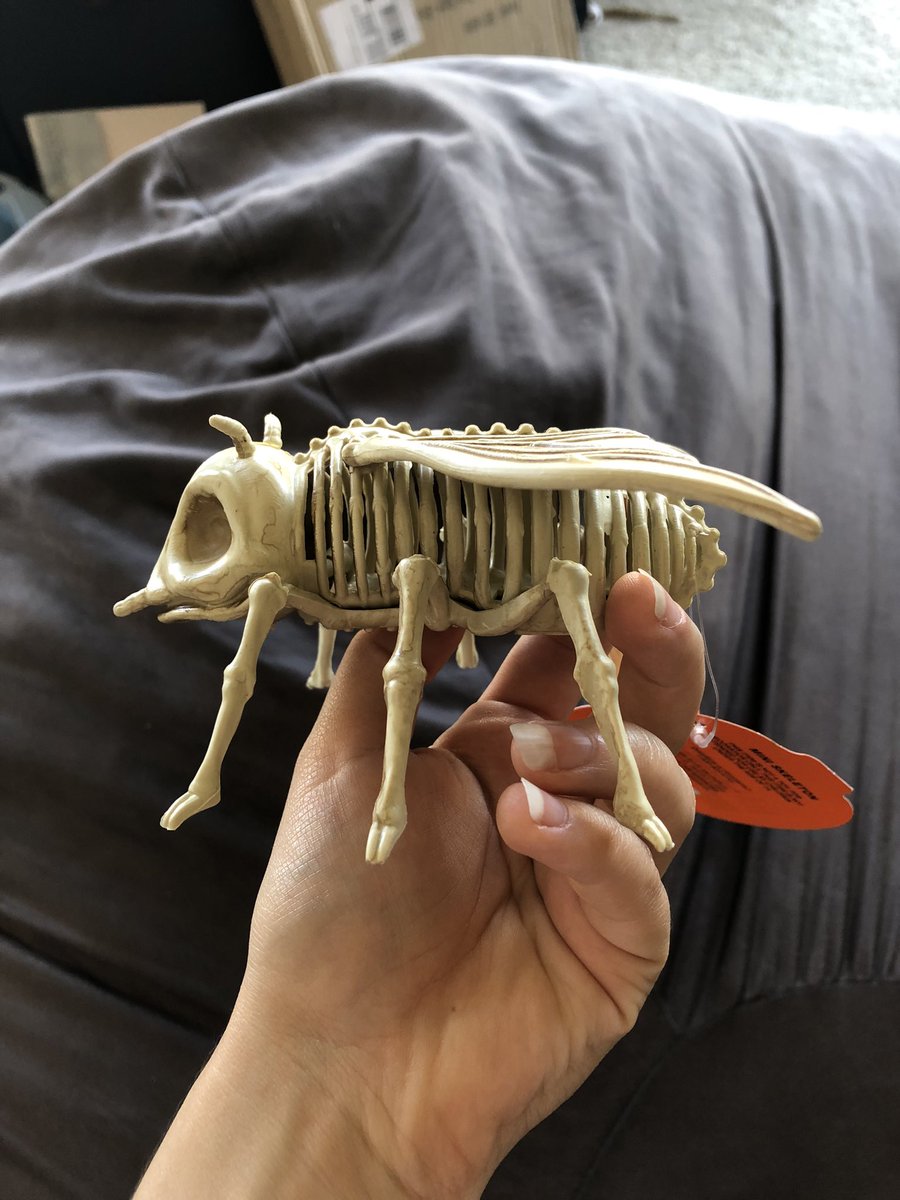 SEGAmastergirl on Twitter: 