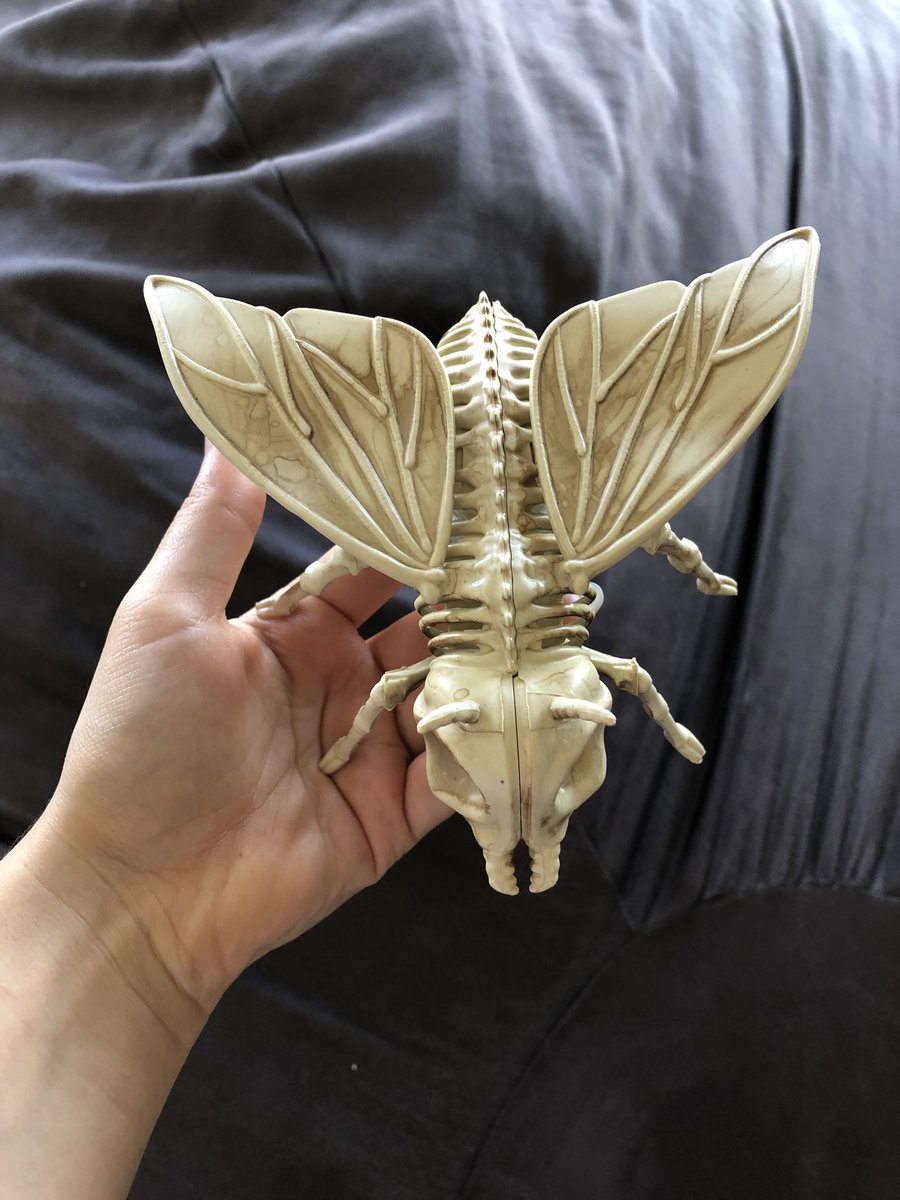 SEGAmastergirl on Twitter: 