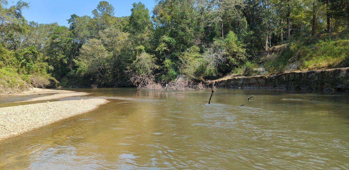KaseaPrice's tweet photo. #Groundtruthing in the Bouie River with @bodine_cs and Eric. Seeing lots of gravel, sand, sandstone, and soapstone in this system. #fieldwork https://t.co/45EBP2yZq0