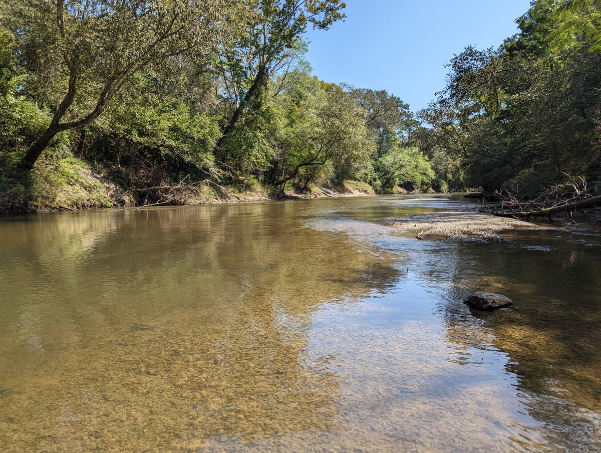 KaseaPrice's tweet photo. #Groundtruthing in the Bouie River with @bodine_cs and Eric. Seeing lots of gravel, sand, sandstone, and soapstone in this system. #fieldwork https://t.co/45EBP2yZq0