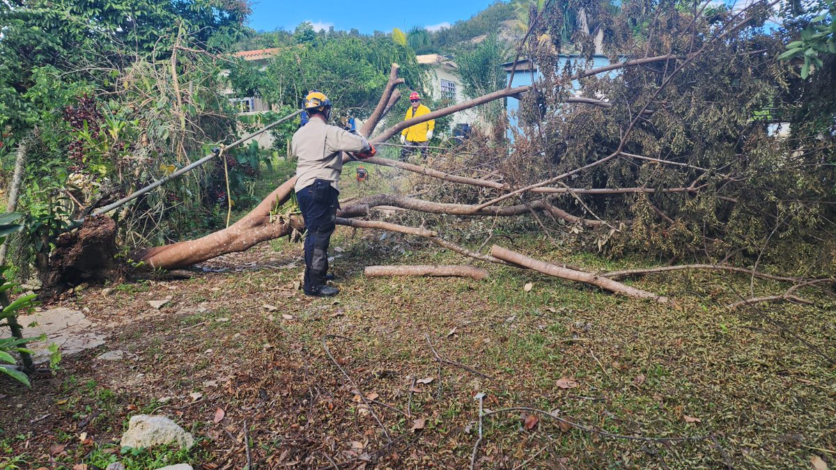 Bomberos llegó hoy al hogar de Gladys Maldonado Ortiz en el Bo. Patrón Sector Cordero en Morovis. La señora de 70 años reside sola y no tenía acceso a su casa, limpiaron la entrada y la ayudaron todas las labores de limpieza.
¡Gracias a todos los compañeros! 🚒