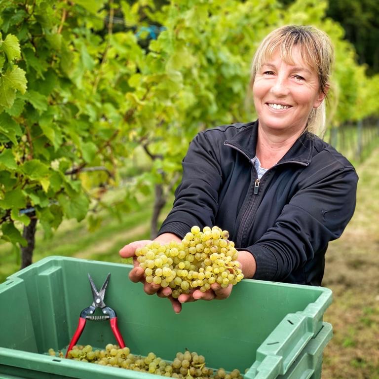 NewForestFruit tweet media