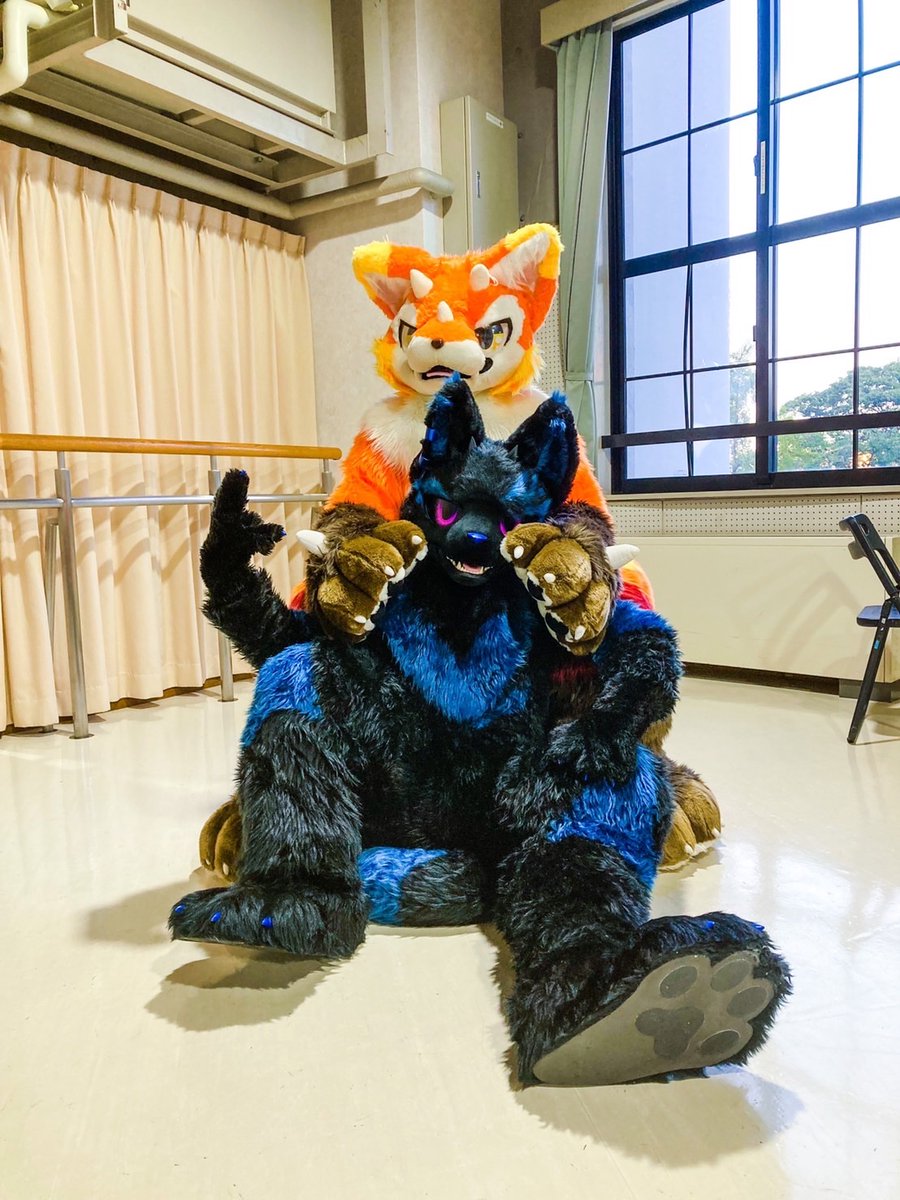Taddy_P_Evans's tweet photo. オレ達を…止めラれるかな…？

イタズラ大好きトリック(moonwolfen )
Photo(grande_8823)
#FursuitEveryday 
#犬工房 
#ZCUBE
#ぱふぉケモ https://t.co/rhJSYcop8s