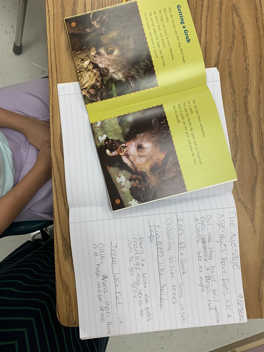 Mrs. Halbert tweet media