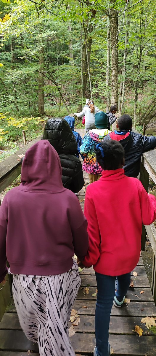 Baltimore Woods tweet media