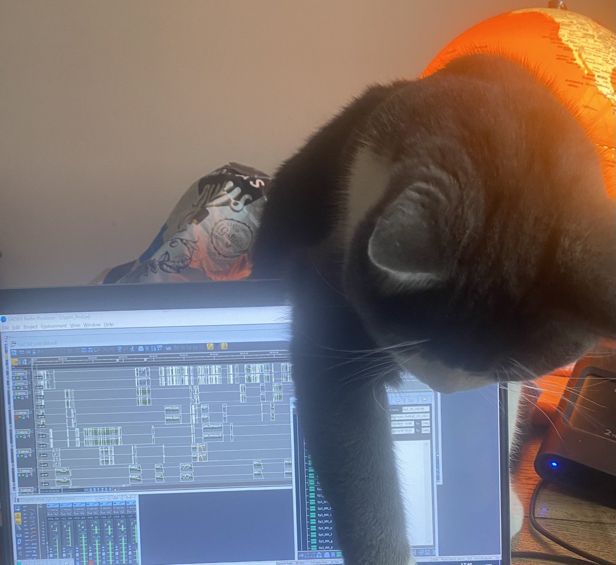 Georgia Catt tweet media