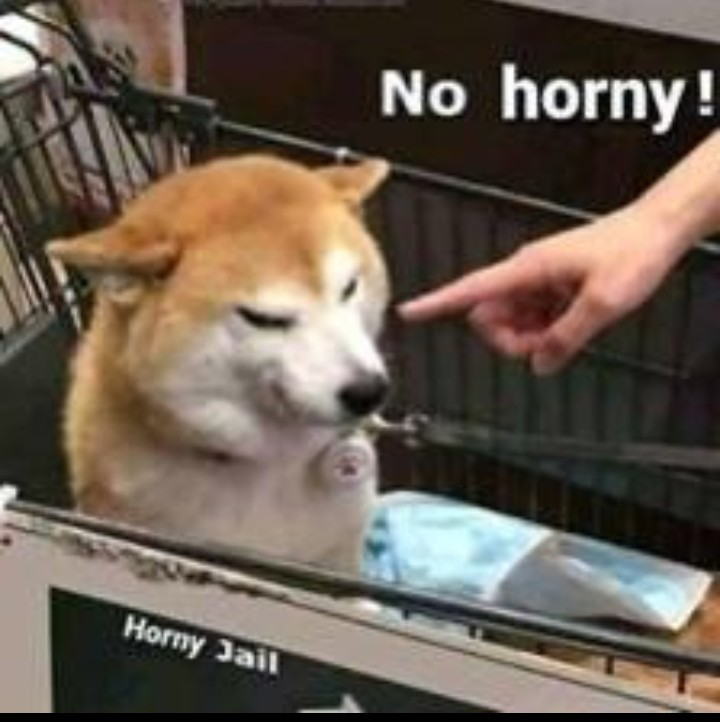 FishermannPaul's tweet photo. Alright! here we go again!

Top 10 .doge domains from #DNS in non specific order pt2.

Source: https://t.co/WsARDyJ0oa  #DogechainFamily

#1 miakhalifa.doge https://t.co/QJE5diVW6P
