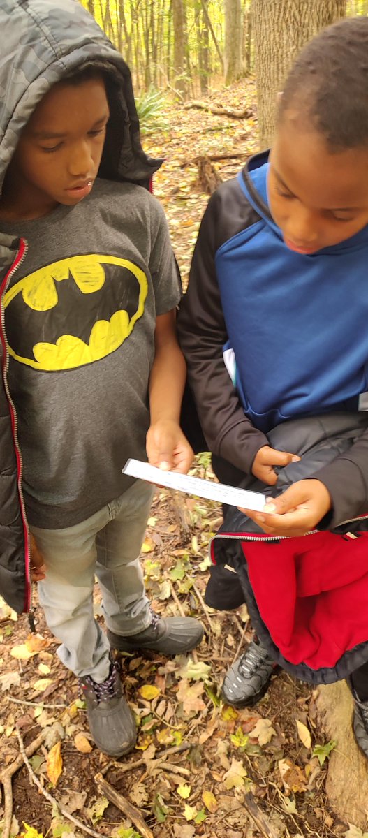 Baltimore Woods tweet media