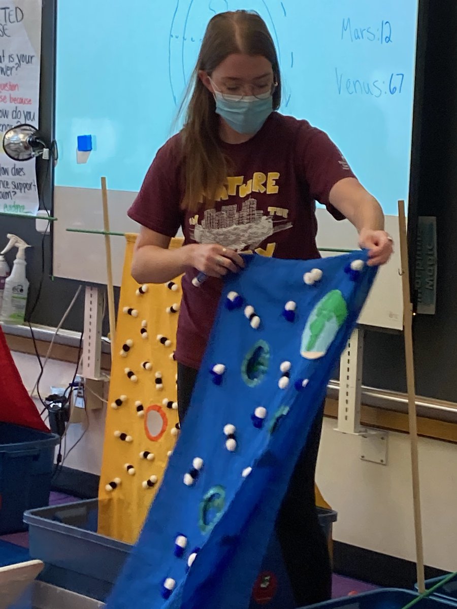 Baltimore Woods tweet media