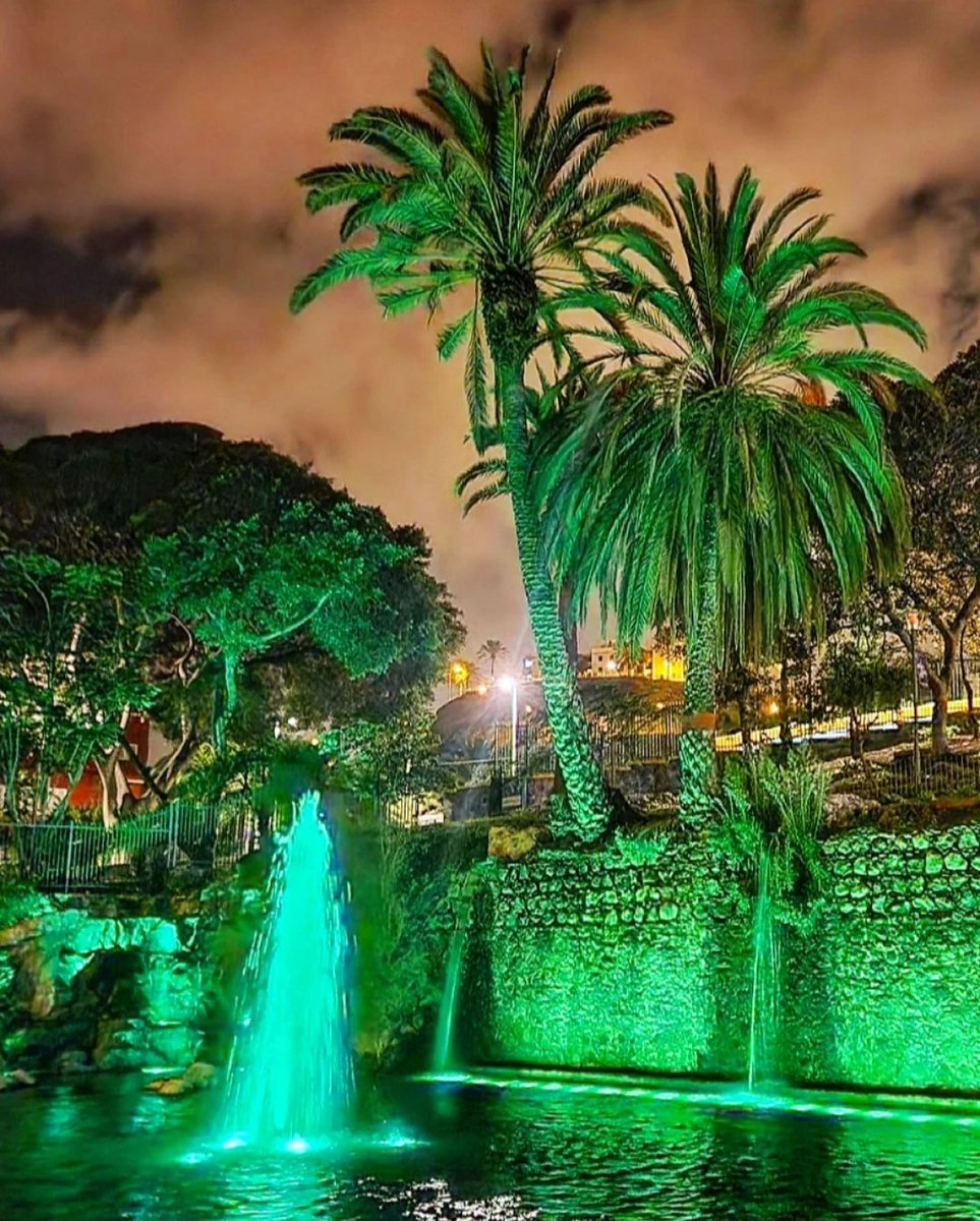 albarodriguezhe's tweet photo. Parque Doramas! 💙💛💙 #ParqueDoramas #LasPalmasdeGranCanaria #Canarias #FelizNoche @EmocionesCan @gcabrerar80 https://t.co/B3UhH7NX0t