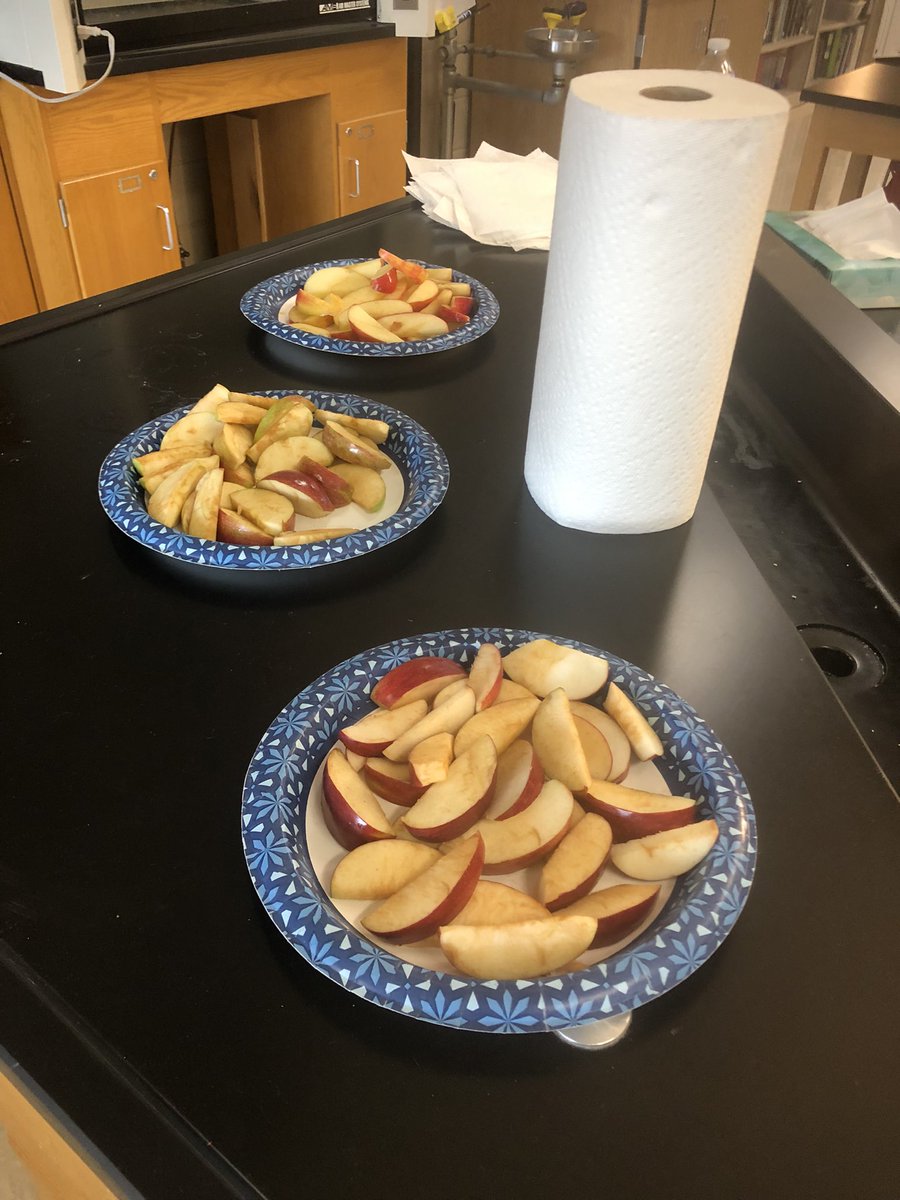 MsZielewicz's tweet photo. A big thank you to @MrsWalli19 for bringing apples she picked with her son for “Mindful Apple tasting” to support our #Mindful practices &amp; talk abt focus/why our minds wander🧘‍♀️ . Ss enjoyed it!!🍏 🍎 @BroomeBOCES @BTEvertech @BTBOCES_IP https://t.co/hsYlXvWLvD