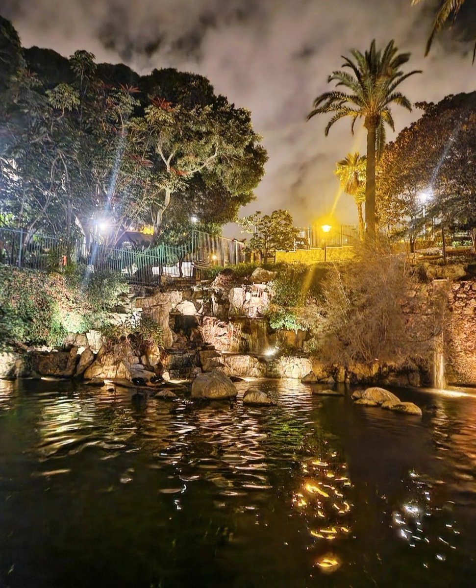 albarodriguezhe's tweet photo. Parque Doramas! 💙💛💙 #ParqueDoramas #LasPalmasdeGranCanaria #Canarias #FelizNoche @EmocionesCan @gcabrerar80 https://t.co/B3UhH7NX0t