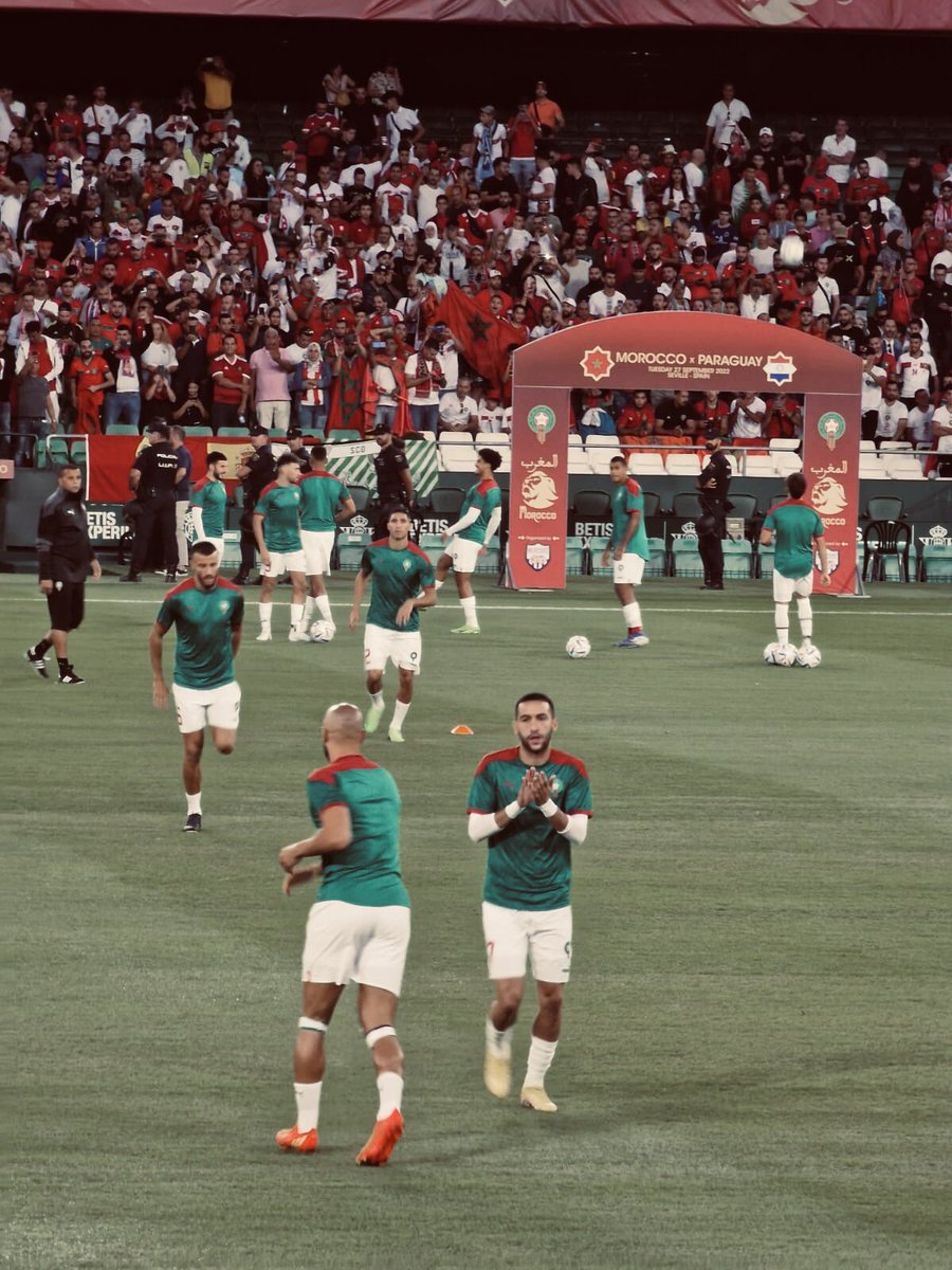 🦁🇲🇦