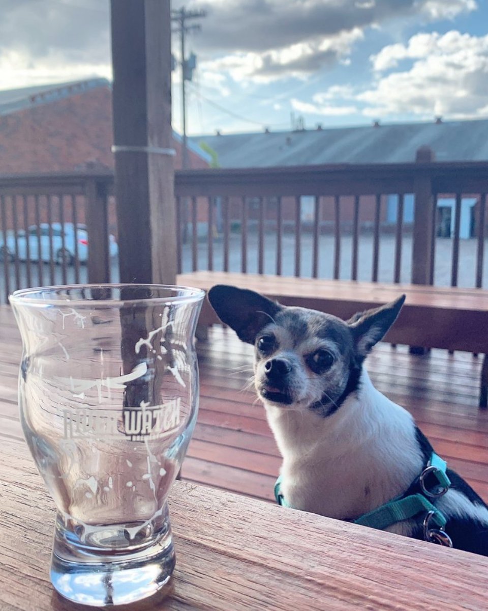 Everyone feels like a local at Riverwatch Brewery. So bring the family, bring the dog, or just bring your story. #CraftBrewery