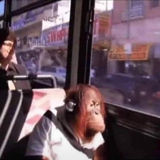 El profe: Jóvenes se cancelan las clases 
Yo rumbo a la escuela con el grupo silenciado y archivado: