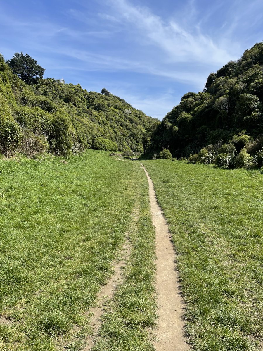 Jack Steer tweet media