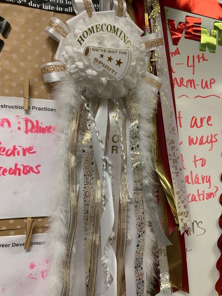 TISDLonghorns's tweet photo. These are the last mums that we have available. Prices are in the captions of the pictures. Please email slambert@tarkingtonisd.net to purchase one. https://t.co/dVHkxz0B4o
