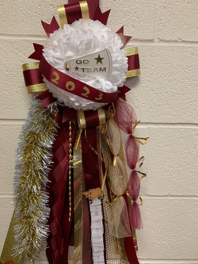 These are the last mums that we have available. Prices are in the captions of the pictures. Please email slambert@tarkingtonisd.net to purchase one.